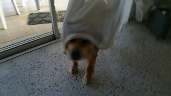 20160630_185452